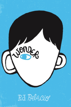 Wonder-diversity-resources-book