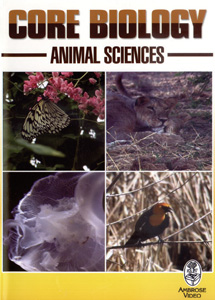 CORE BIOLOGY