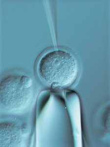REDISCOVERING BIOLOGY