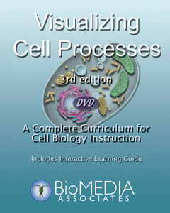 VISUALIZING CELL PROCESSES