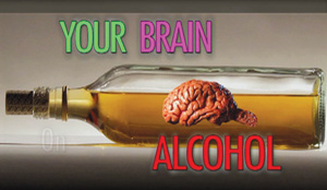 THIS IS YOUR BRAIN ON ALCOHOL 2.0