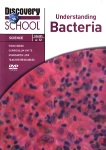 UNDERSTANDING BACTERIA