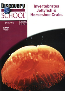 INVERTEBRATES