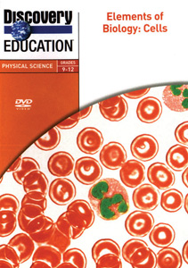 CELLS