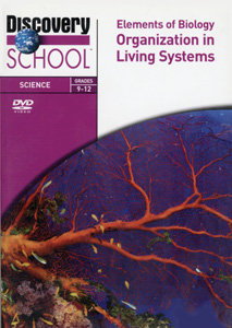 ORGANIZATION IN LIVING SYSTEMS