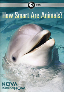 HOW SMART ARE ANIMALS?