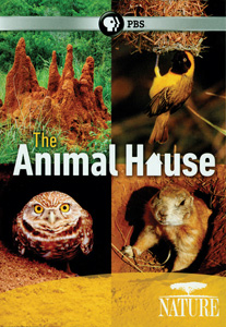 THE ANIMAL HOUSE