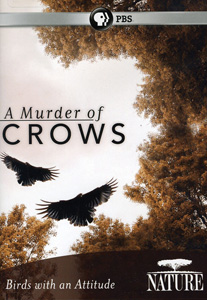 A MURDER OF CROWS