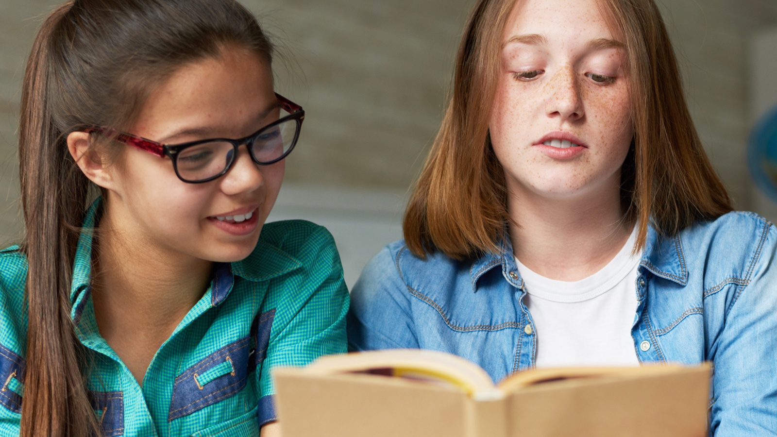 Reading Strategies for Middle School Novels in Social Studies