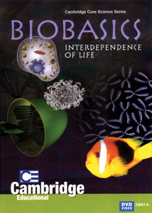 INTERDEPENDENCE OF LIFE