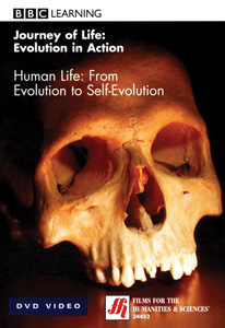 HUMAN LIFE
