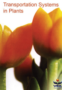 TRANSPORTATION SYSTEMS IN PLANTS