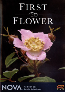 FIRST FLOWER