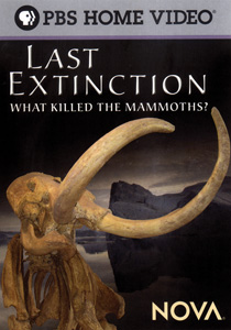 LAST EXTINCTION