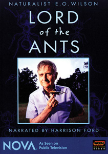 LORD OF THE ANTS