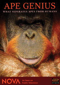 APE GENIUS