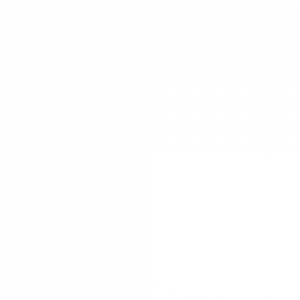 arizona arizona