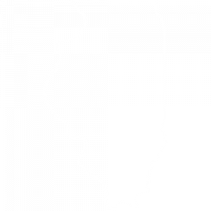 iIllinois iIllinois