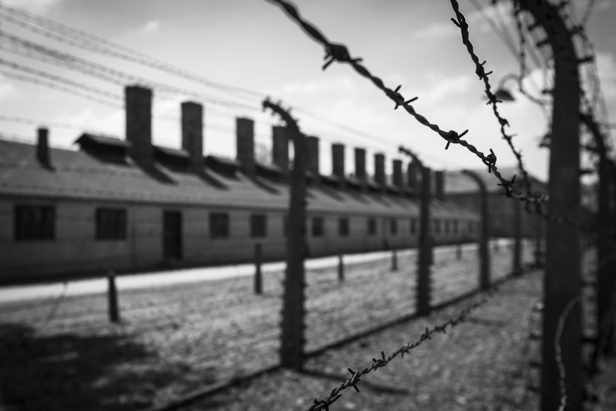concentration-camp-holocaust-teaching-social-studies-primary-source