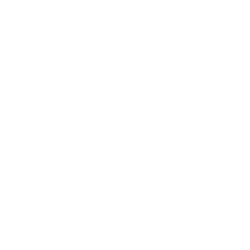 Tennessee social studies